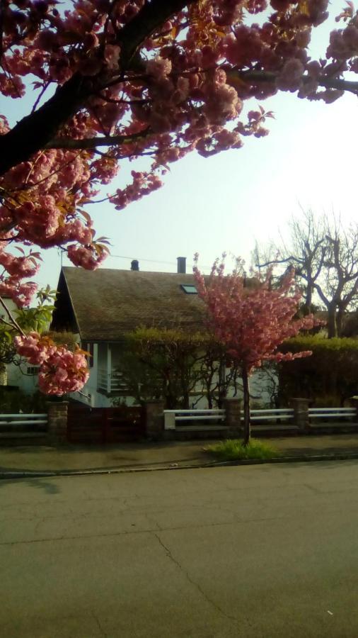 Chalet Montsegur Villa Colmar Eksteriør bilde