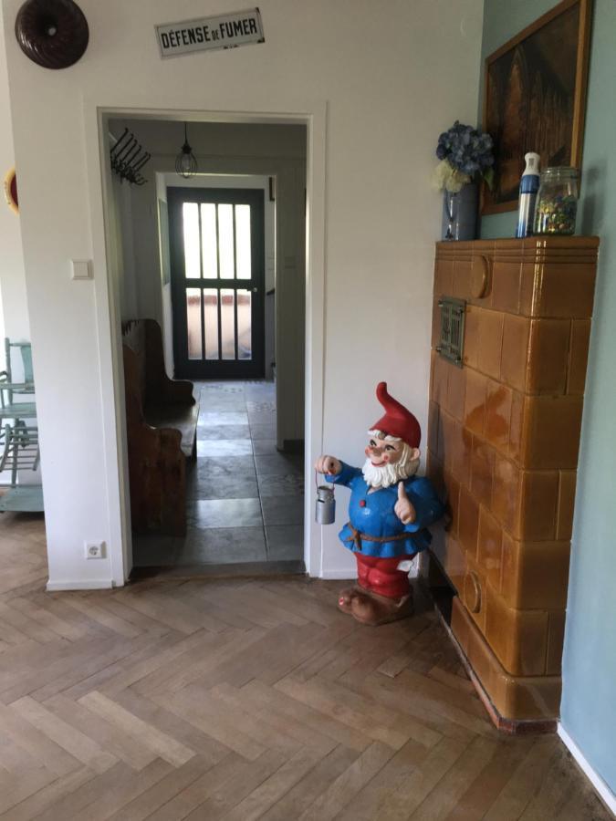 Chalet Montsegur Villa Colmar Eksteriør bilde